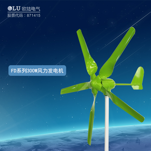 FD系列300W風力發電機