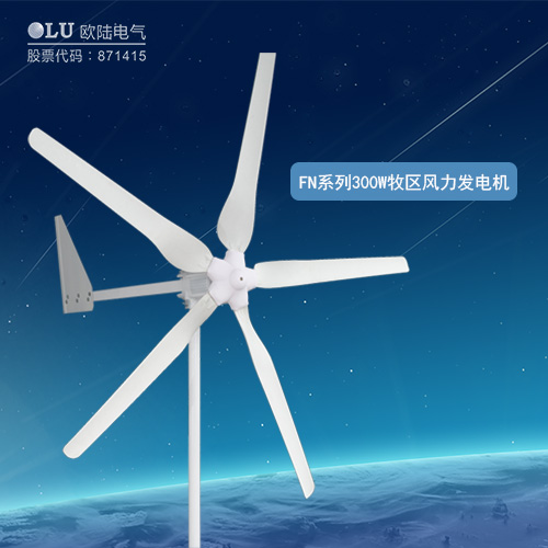FN系列300W牧區風力發電機